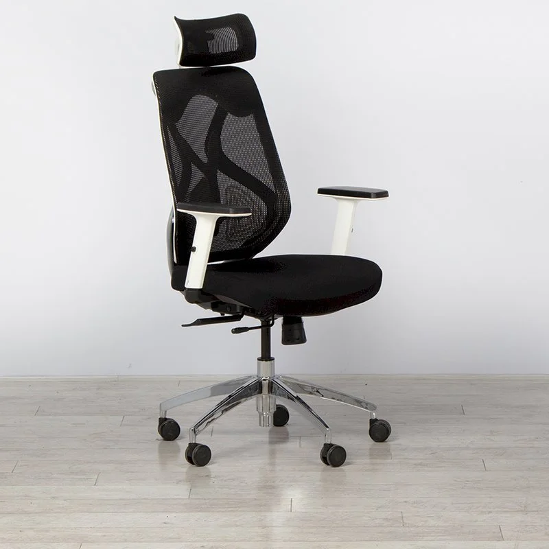 Ergonomic Posture Office Chair